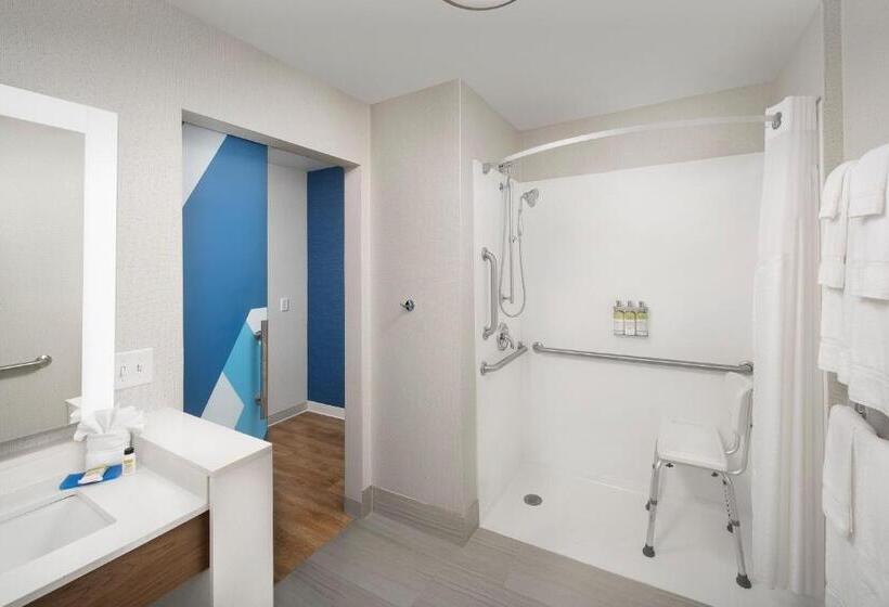 장애인을 위한 킹사이즈 침대 스탠다드 룸, Holiday Inn Express Atlanta Sw   Newnan, An Ihg
