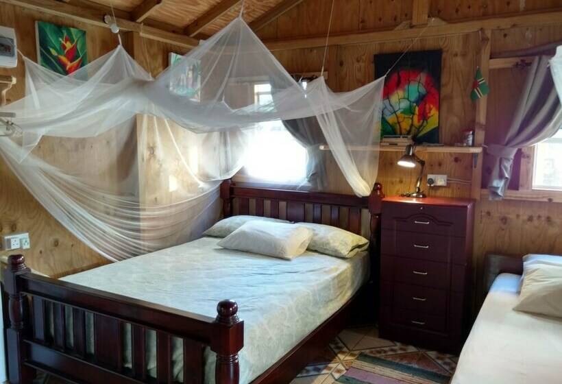 استودیوی استاندارد, Mainroad Suite