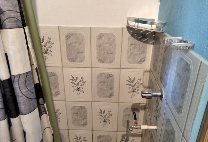 استودیوی استاندارد, Mainroad Suite