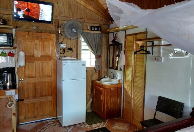 استودیوی استاندارد, Mainroad Suite