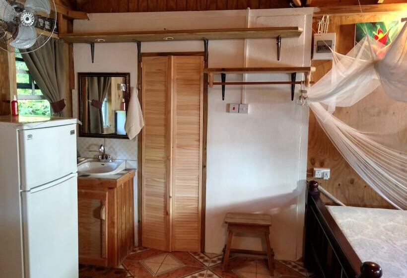استودیوی استاندارد, Mainroad Suite