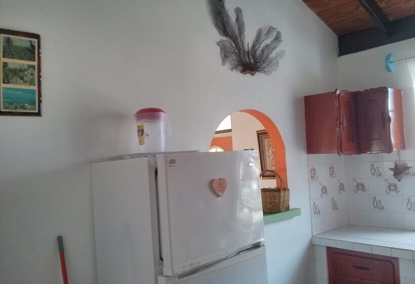 ویلای 3 خوابه, Mainroad Suite