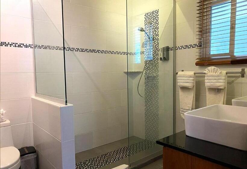 Апартаменты Пентхаус 1 Спальня, Bahia Residence Cabarete