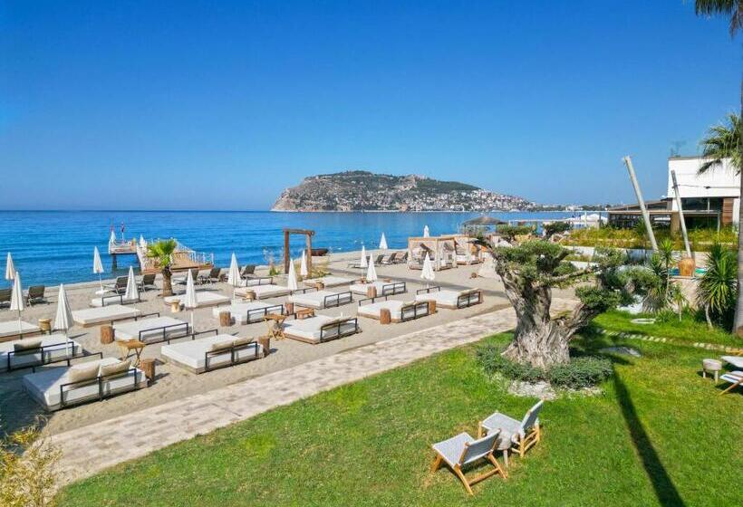اتاق لوکس, Day One Beach Resort & Spa   Adult Only