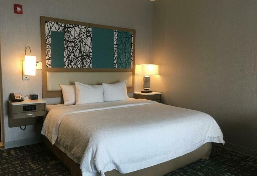 스탠다드 룸 킹사이즈 침대, Hampton Inn & Suites Dallasthe Colony, Tx