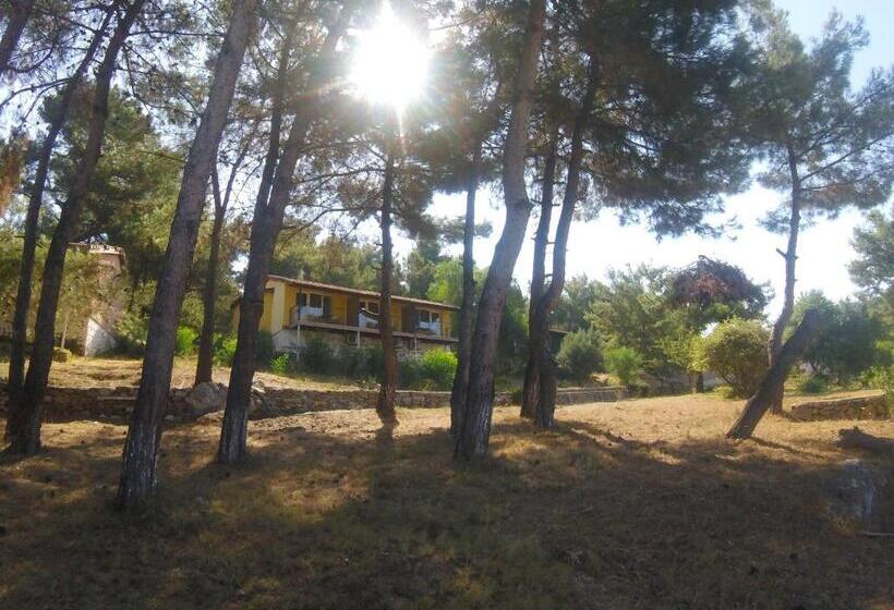 Номер Deluxe, Rainbow Bay Ozdere Beach