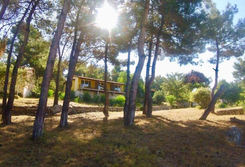 Номер Deluxe, Rainbow Bay Ozdere Beach