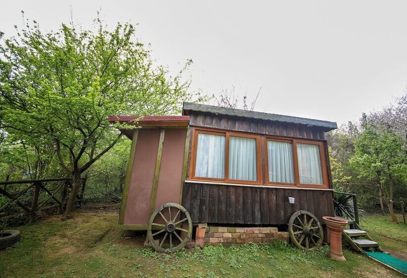 بانگلوی استاندارد, Agva Tartaruga Motel