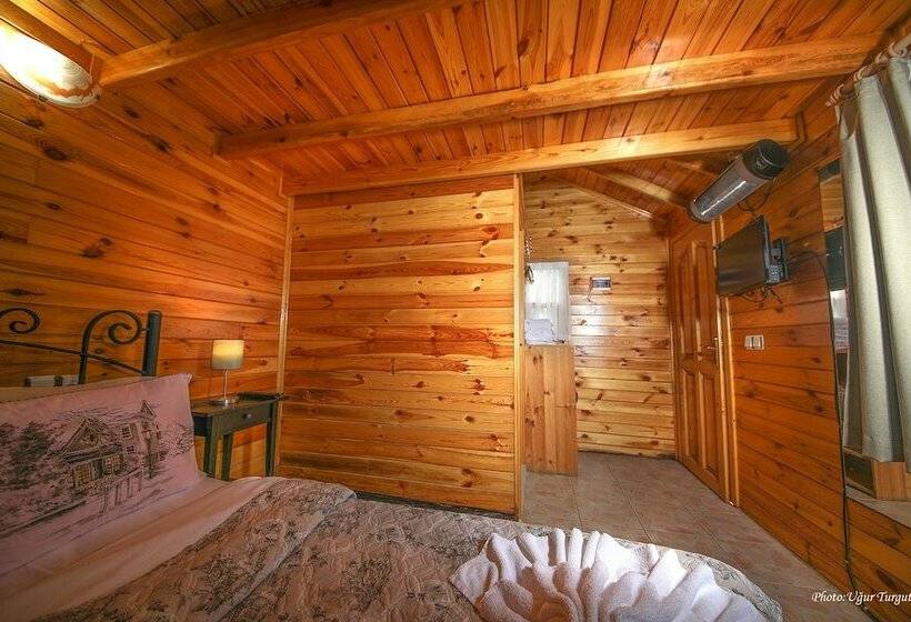 بانگلوی استاندارد, Agva Tartaruga Motel