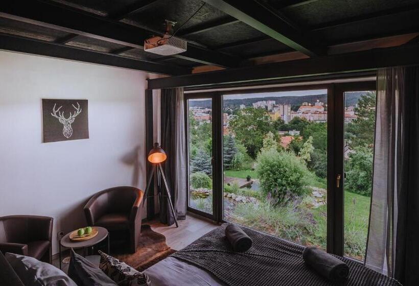 Люкс Повышенной Комфортности, Boutique Penzion Rech