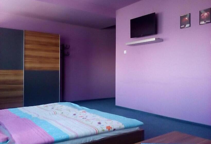 إستديو عائلى, Manhattan Penzion