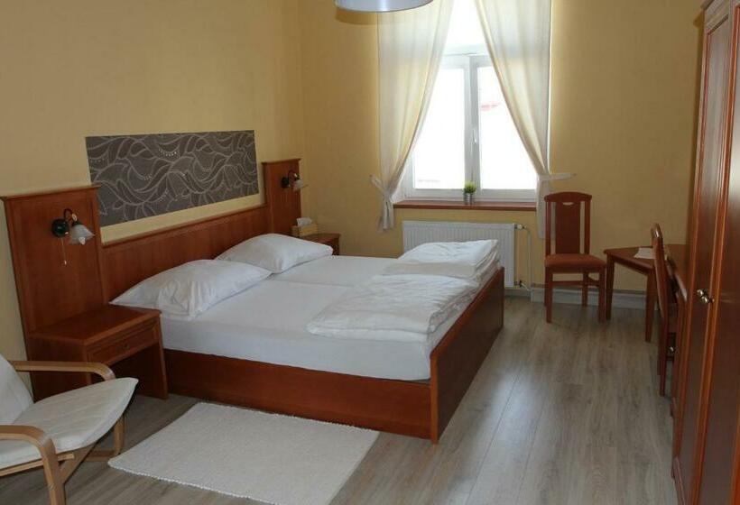 Номер Стандарт, Pension Elektra