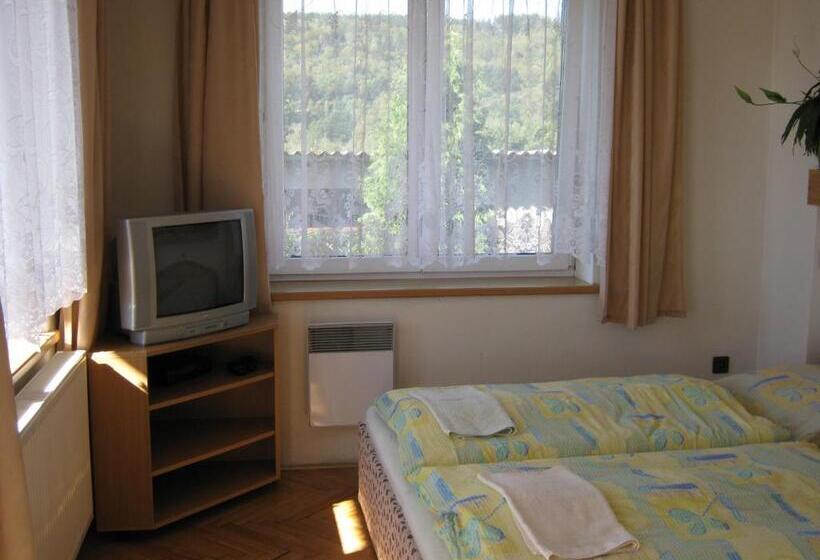 غرفة قياسية, Privat Apartma Ulrych
