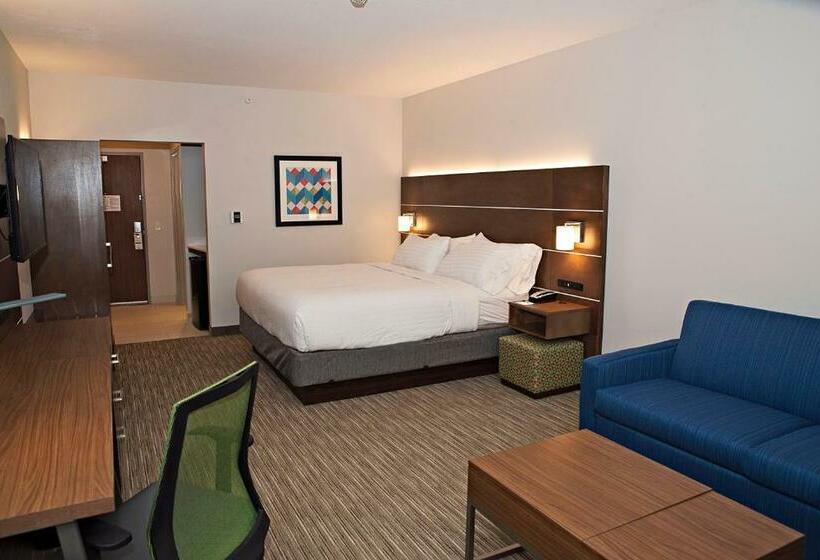 Suíte, Holiday Inn Express & Suites   Rantoul, An Ihg