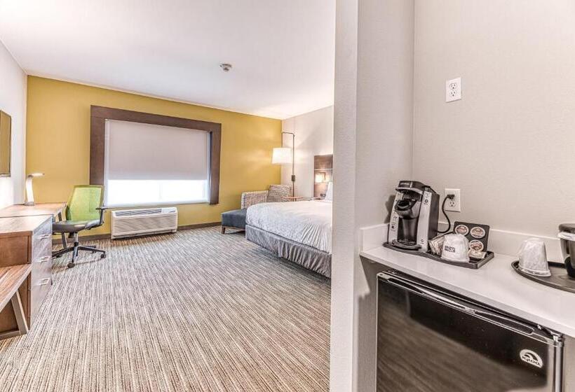 Quarto Estandar Cama King para Deficientes Físicos, Holiday Inn Express & Suites   Rantoul, An Ihg