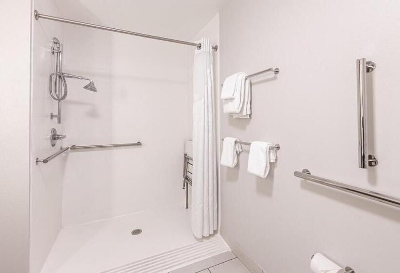 Quarto Estandar Cama King para Deficientes Físicos, Holiday Inn Express & Suites   Rantoul, An Ihg