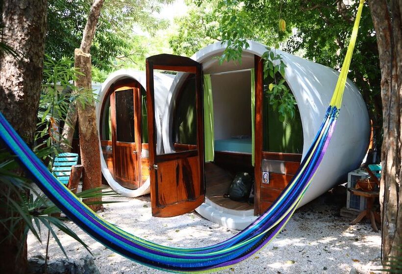 スタンダードルーム, Tubo Tulum Hostel