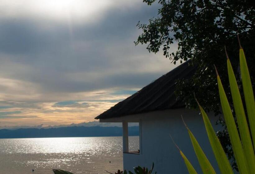 Люкс Премиум, Quo Vadis Dive Resort