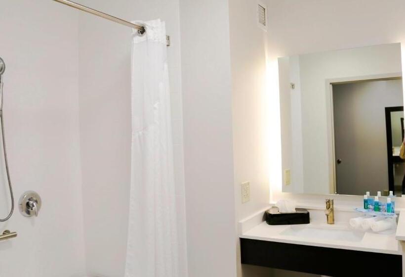 Номер Стандарт Адаптированный для Инвалидов, Holiday Inn Express & Suites Kingston Ulster, An Ihg