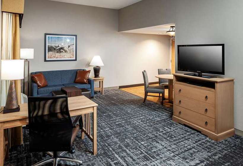 سوییت, Home2 Suites By Hilton Roanoke, Va