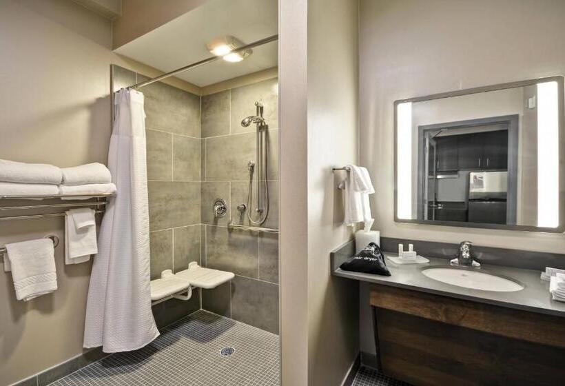 Студио Стандарт Кровать Кинг, Towneplace Suites By Marriott Dover Rockaway