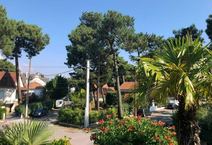 Номер Комфорт, Ty Gwenn La Baule