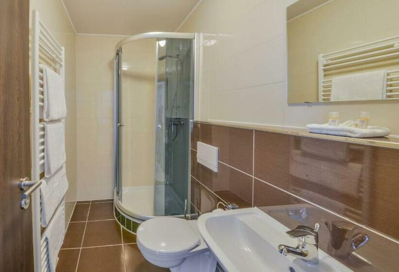 اتاق استاندارد, City Hotel Wetzlar