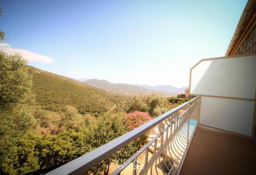 Номер Стандарт Вид на Горы, Hôtel Villa Les Orangers