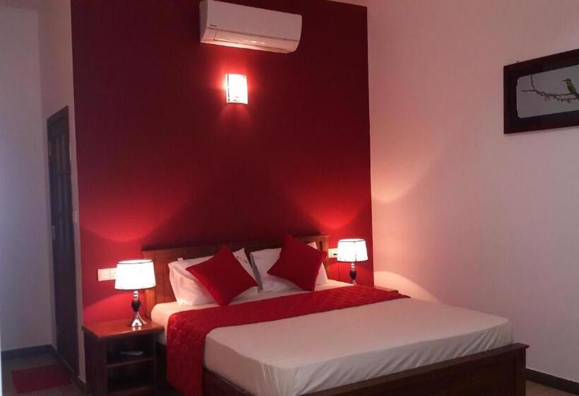 标准间, New Rani Inn
