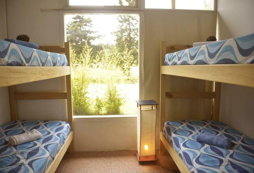 공동 객실, Pinamar Hostel Casa De Verano