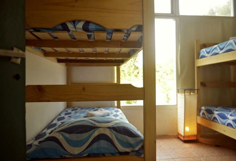 공동 객실, Pinamar Hostel Casa De Verano