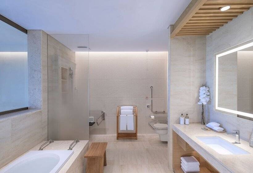 Номер Премиум, Anantara Mina Al Arab Ras Al Khaimah Resort
