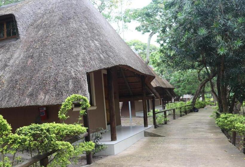 Номер Superior Кровать Кинг, The Galaxy Forest Lodge
