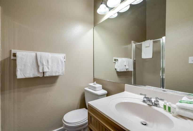 Вилла 2 Спальни, Holiday Inn Club Vacations Piney Shores Resort At Lake Conroe