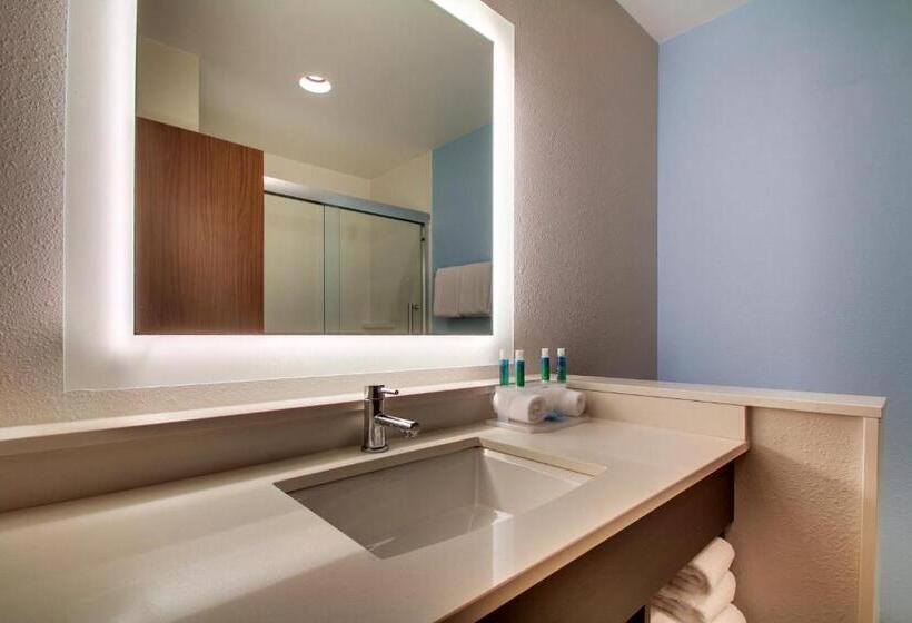 Номер Стандарт Кровать Кинг Адаптированный для Инвалидов, Holiday Inn Express & Suites Charleston Ne Mt Pleasant Us17, An Ihg