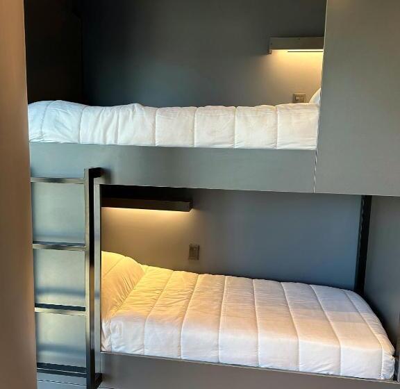 اتاق استاندارد چهارنفره با سرویس بهداشتی مشترک, Mons Hostel