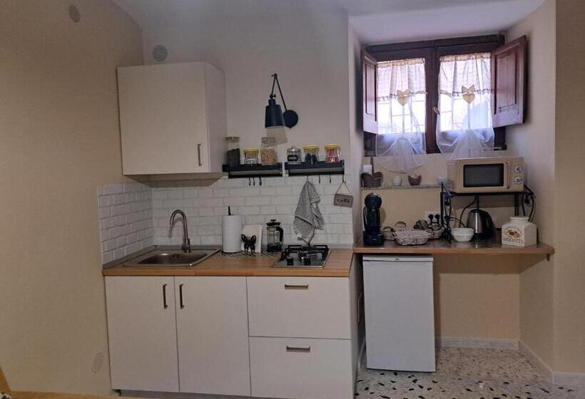 Студия Стандарт, B&b Vivilmatese