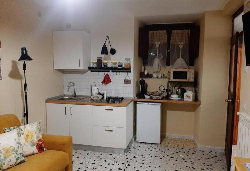 Студия Стандарт, B&b Vivilmatese