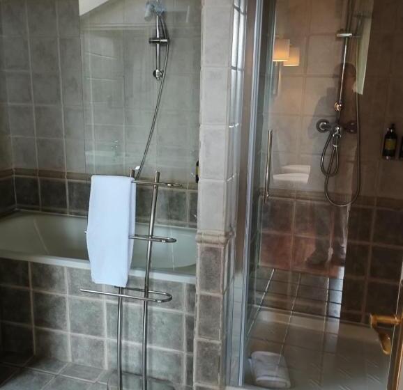 Семейный Номер Deluxe, Maison Barón De La Galleta B&b