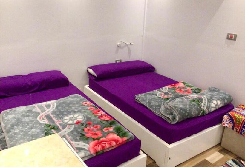 اتاق استاندارد, Salatoos Mango Garden And Guesthouse