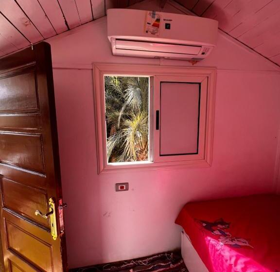 اتاق استاندارد با تراس, Salatoos Mango Garden And Guesthouse