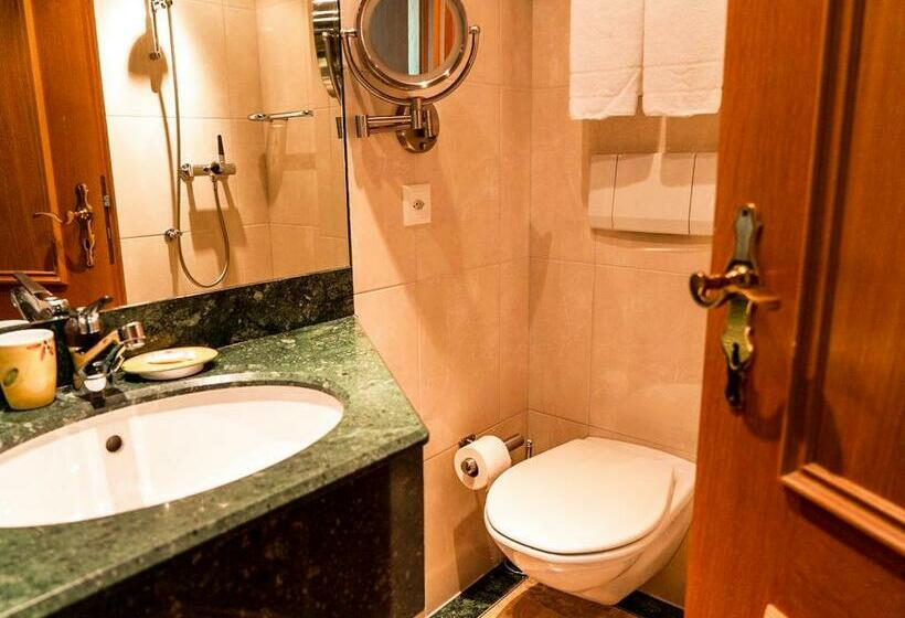 اتاق استاندارد یک تخته با بالکن, Hillsite Smart Hotel Flims