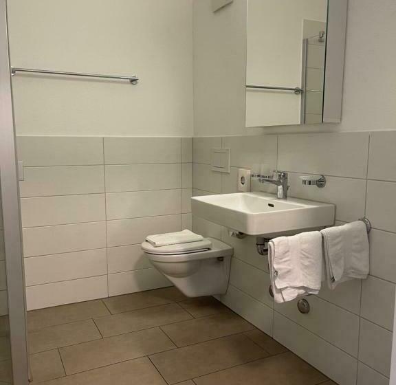 Студия Стандарт, Swiss Bellevue