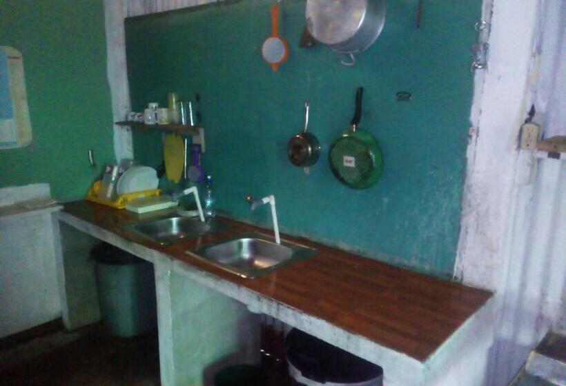 اتاق استاندارد, Amy S Room