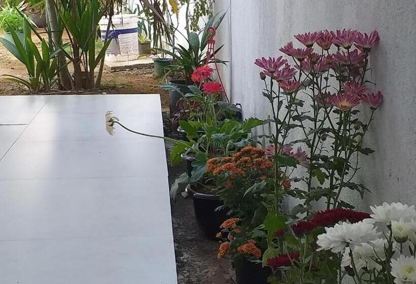 اتاق استاندارد با چشم‌انداز باغ, Mirissa Home Guest