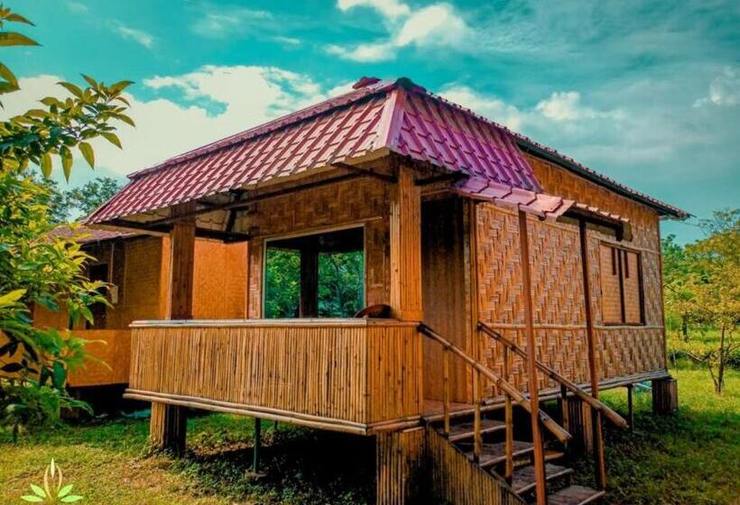 Номер Superior Кровать Кинг, Sawasstika Eco Park Resort
