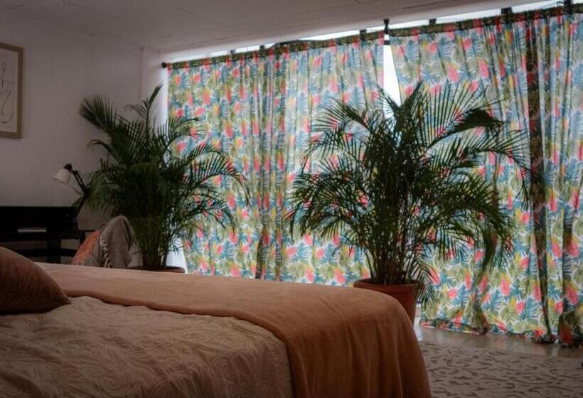 デラックスルーム, Lolas Hostal Apartamento Equipado