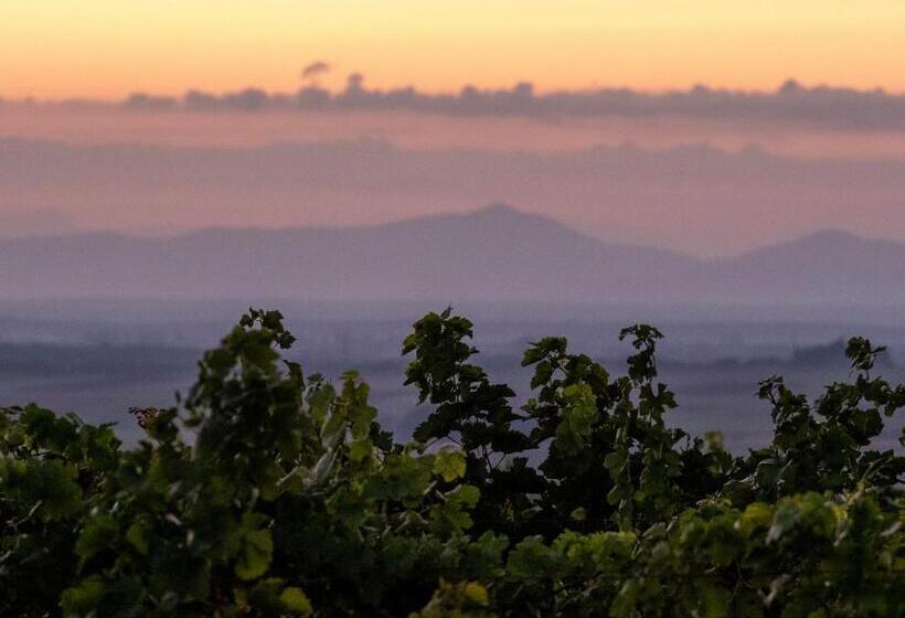 Номер Стандарт, Weingut & Gästezimmer Zillinger