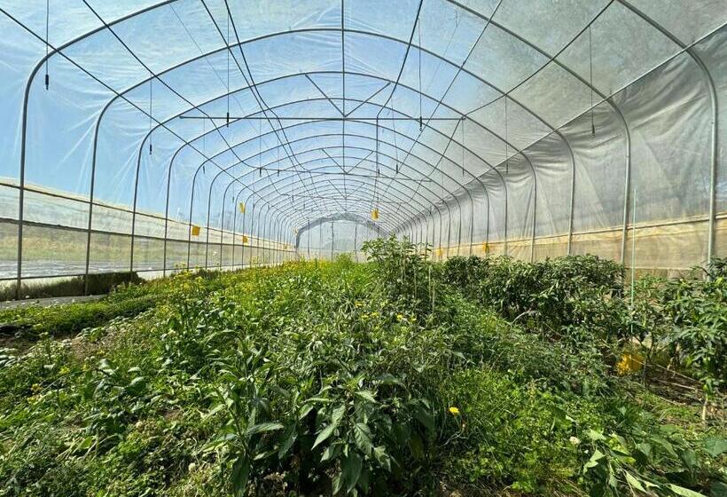 Шале 1 Спальня, Sydney Farm Stay    Live With Nature And Animals
