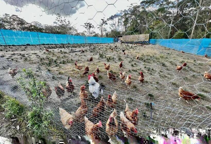 Шале 1 Спальня, Sydney Farm Stay    Live With Nature And Animals
